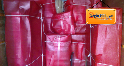 Anana Evden Eve Taşıma